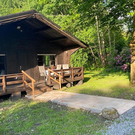 Heidegut Eschede Reitsportanlage Und Feriendorf Exteriör bild