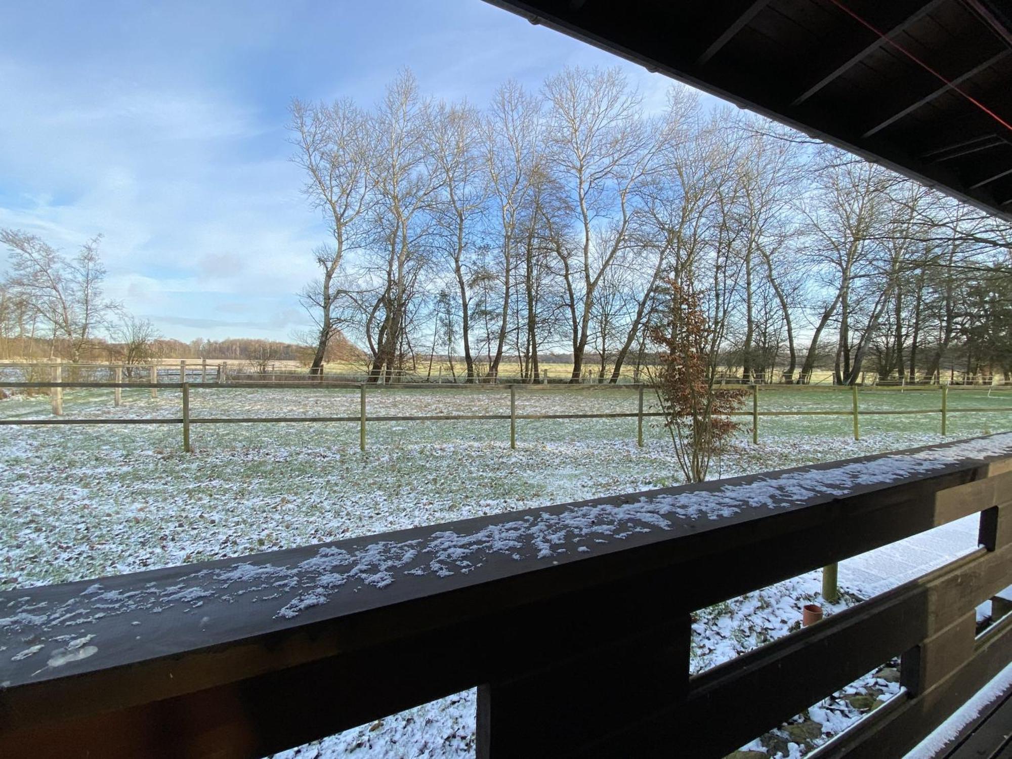 Heidegut Eschede Reitsportanlage Und Feriendorf Exteriör bild