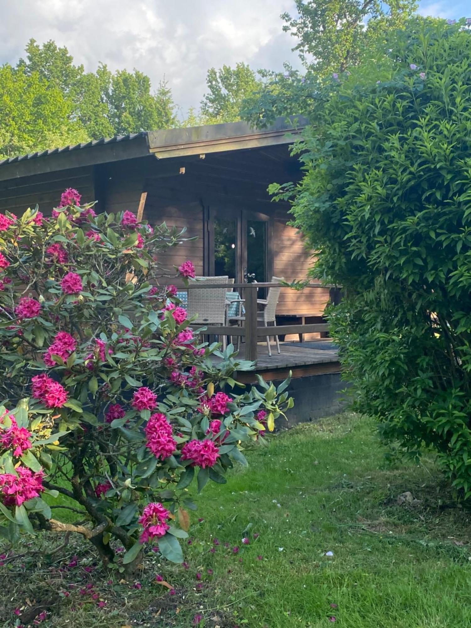 Heidegut Eschede Reitsportanlage Und Feriendorf Exteriör bild