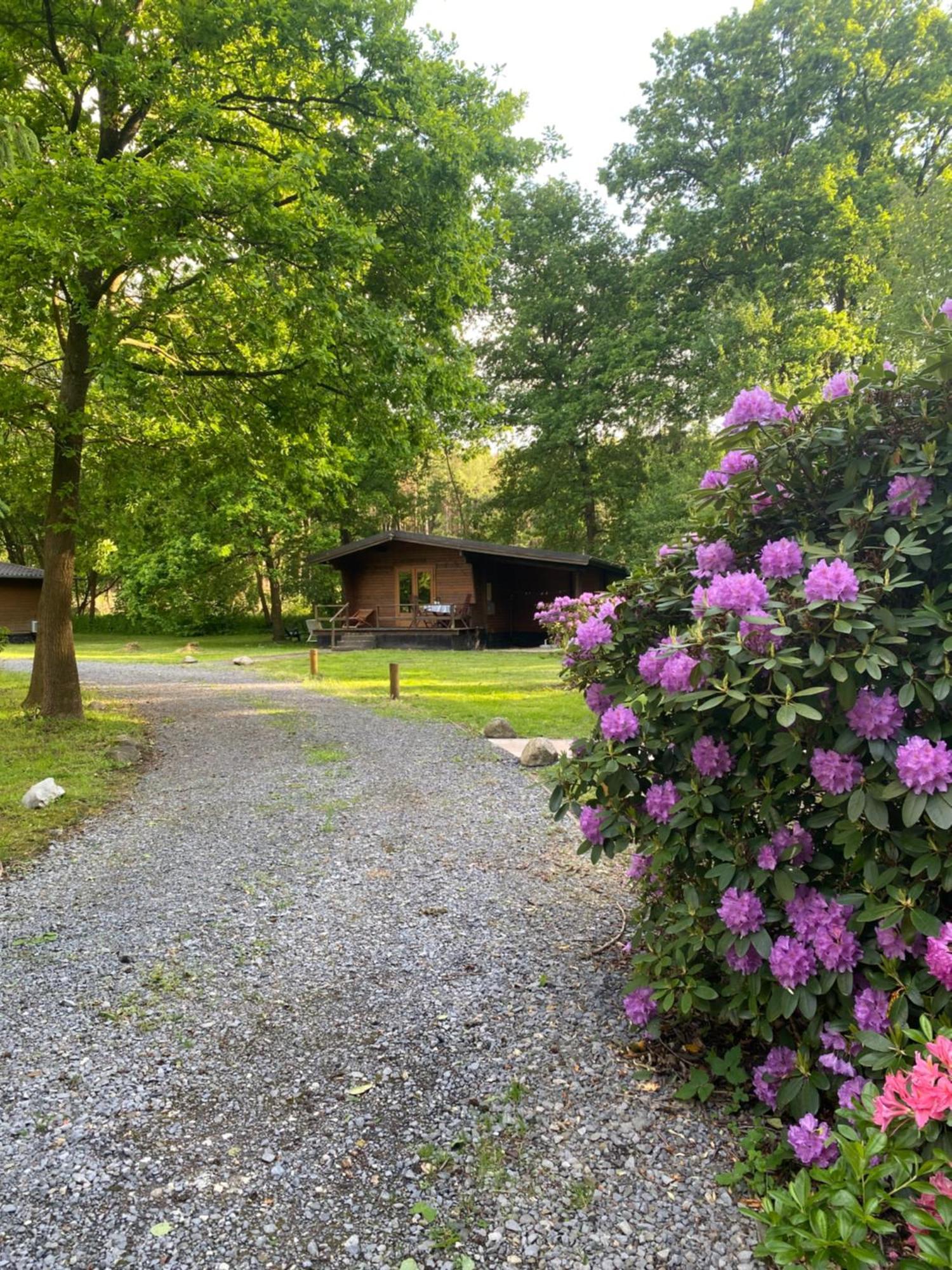 Heidegut Eschede Reitsportanlage Und Feriendorf Exteriör bild