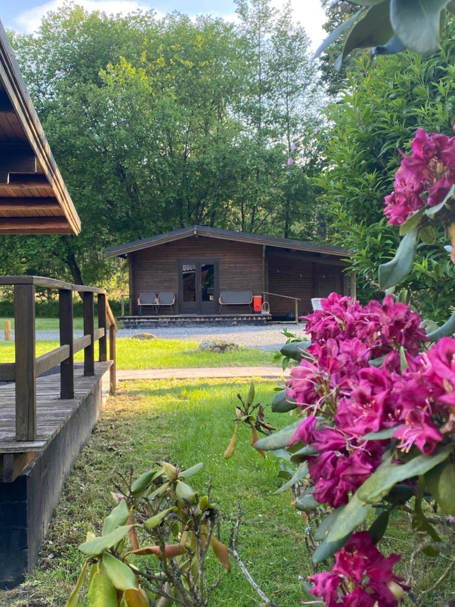 Heidegut Eschede Reitsportanlage Und Feriendorf Exteriör bild