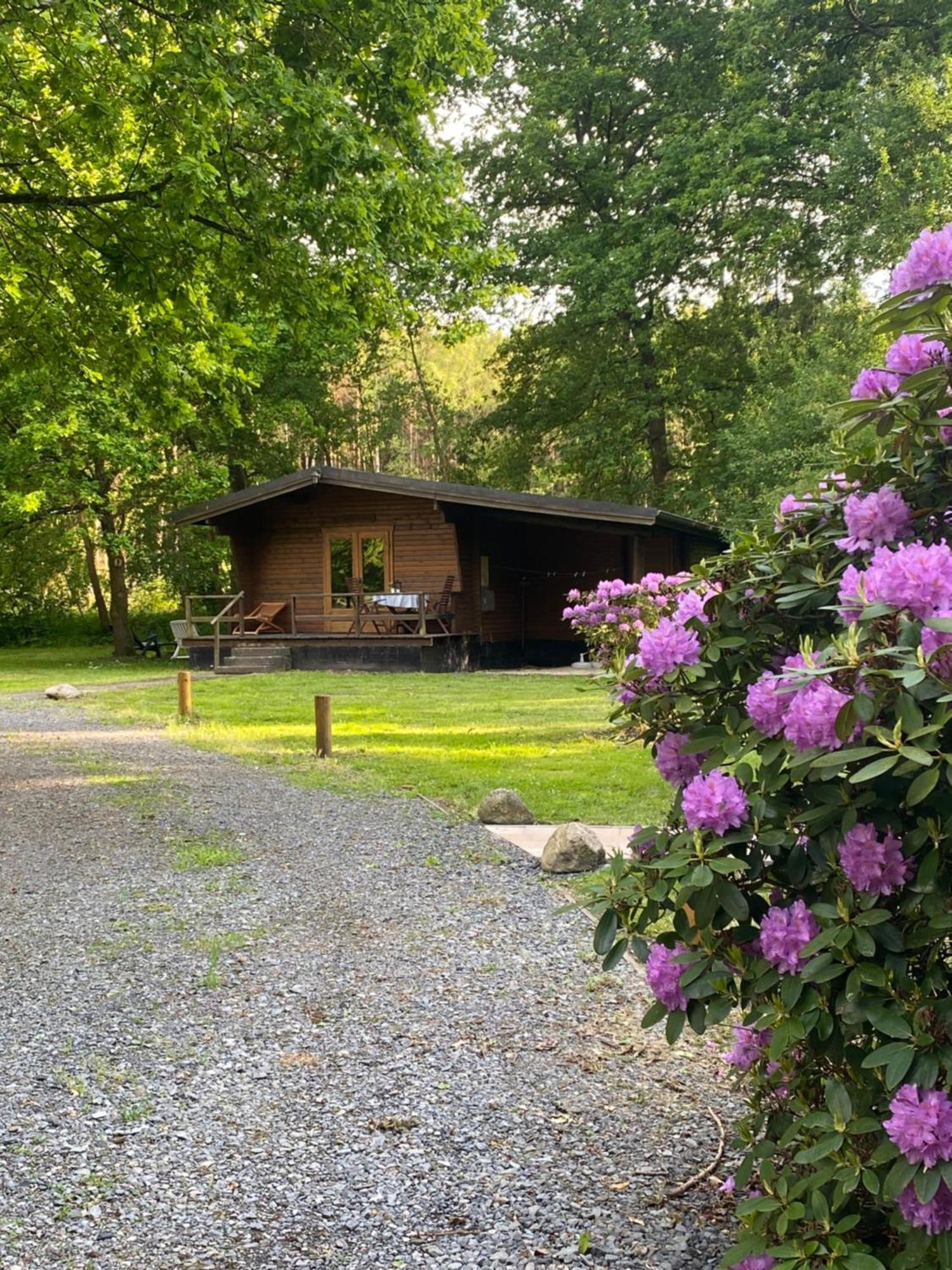 Heidegut Eschede Reitsportanlage Und Feriendorf Exteriör bild