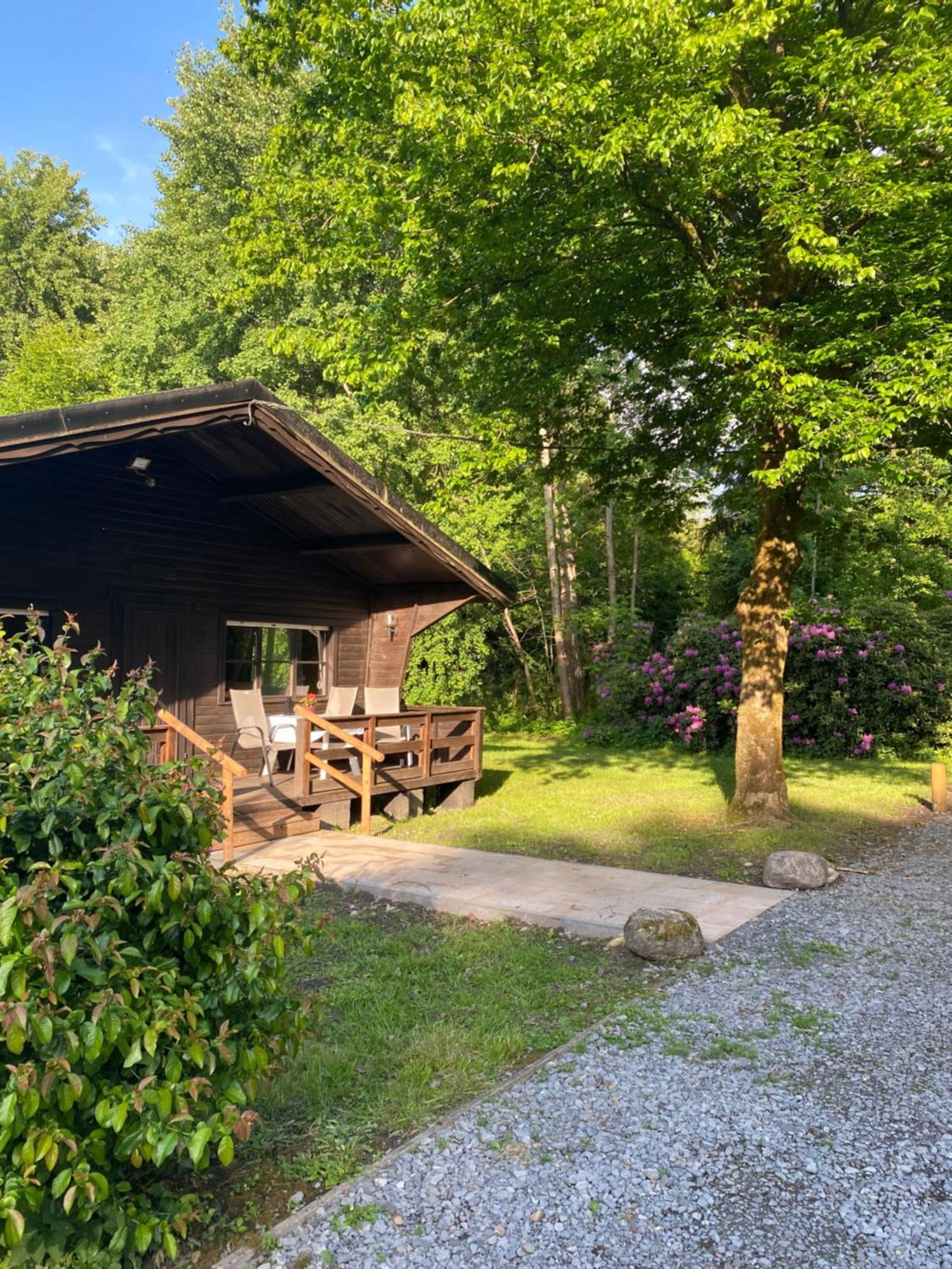 Heidegut Eschede Reitsportanlage Und Feriendorf Exteriör bild