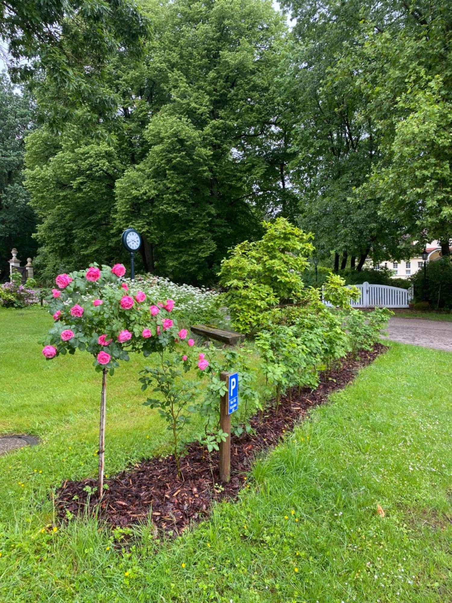 Heidegut Eschede Reitsportanlage Und Feriendorf Exteriör bild