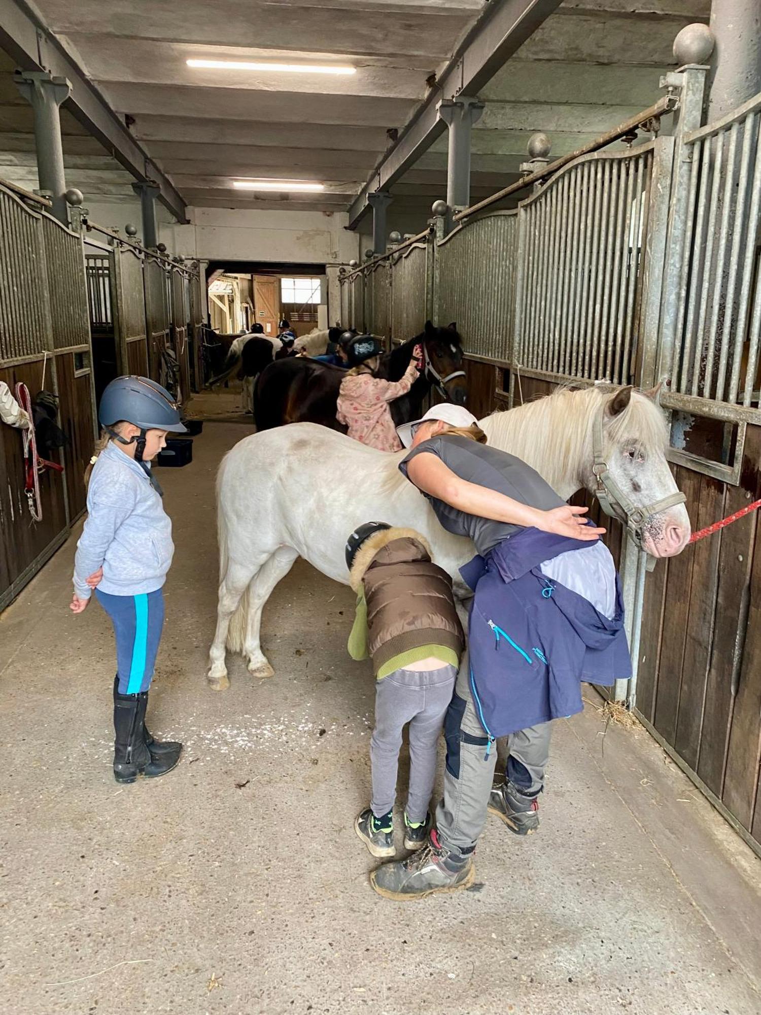 Heidegut Eschede Reitsportanlage Und Feriendorf Exteriör bild