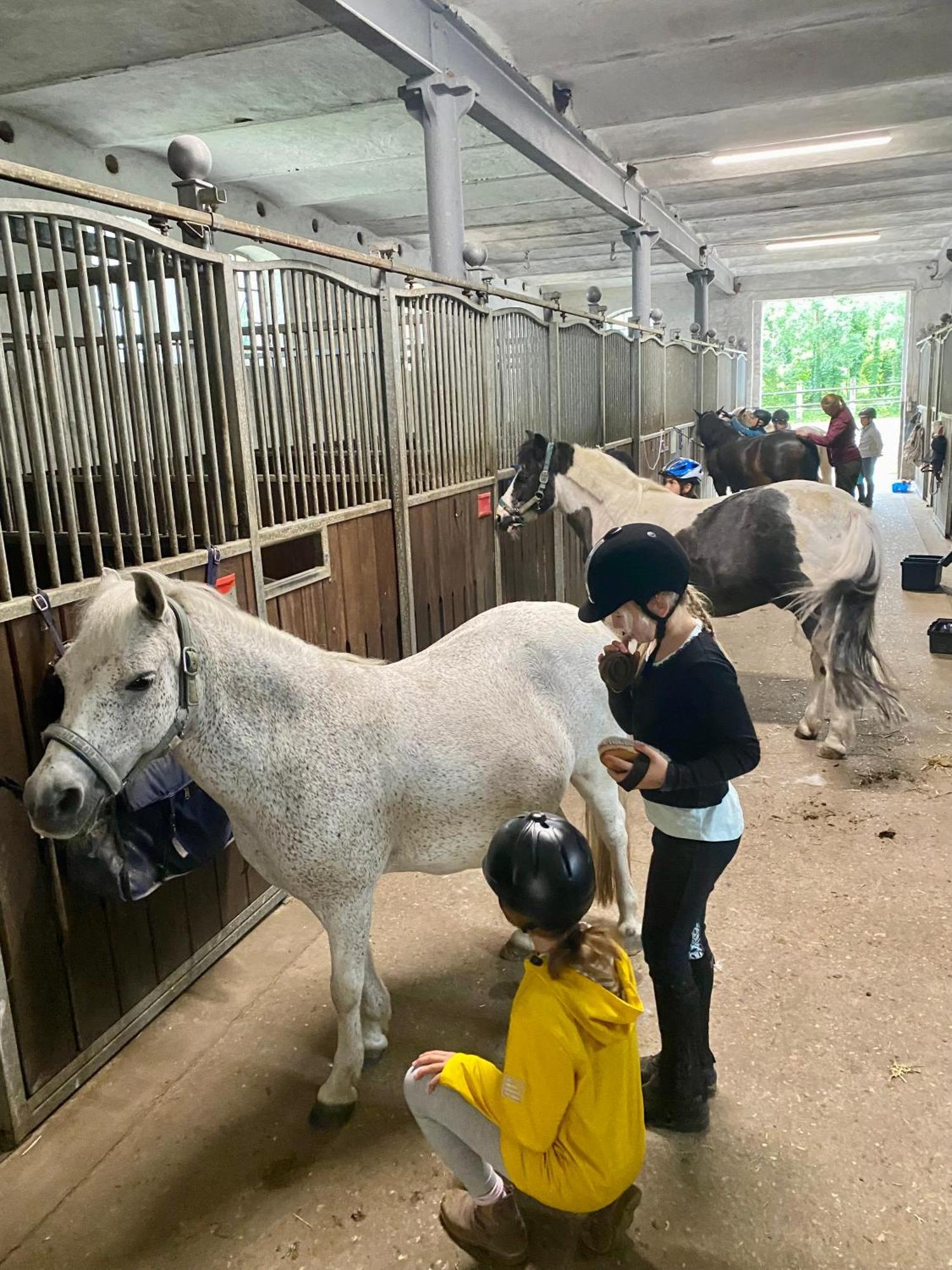 Heidegut Eschede Reitsportanlage Und Feriendorf Exteriör bild