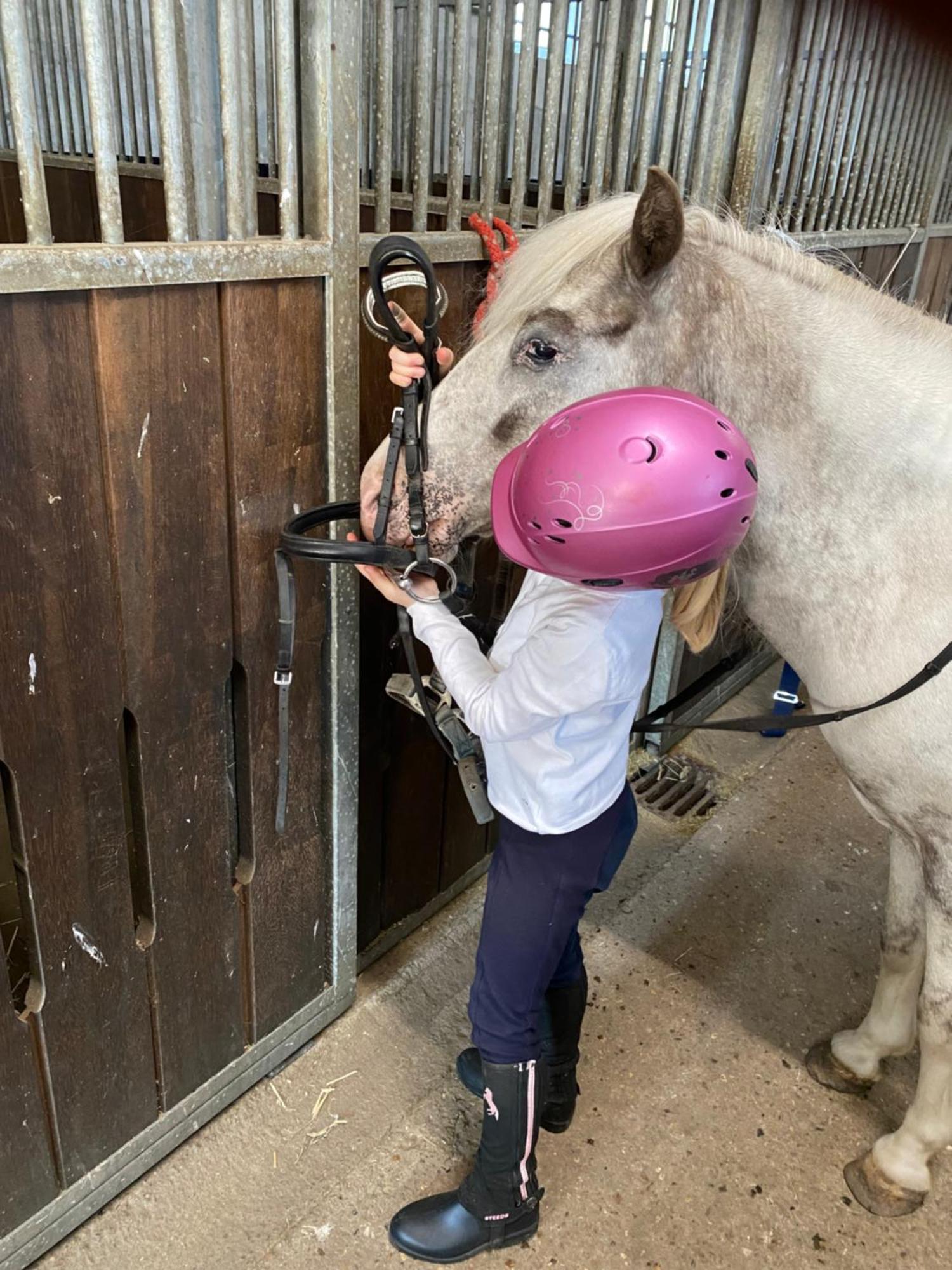 Heidegut Eschede Reitsportanlage Und Feriendorf Exteriör bild