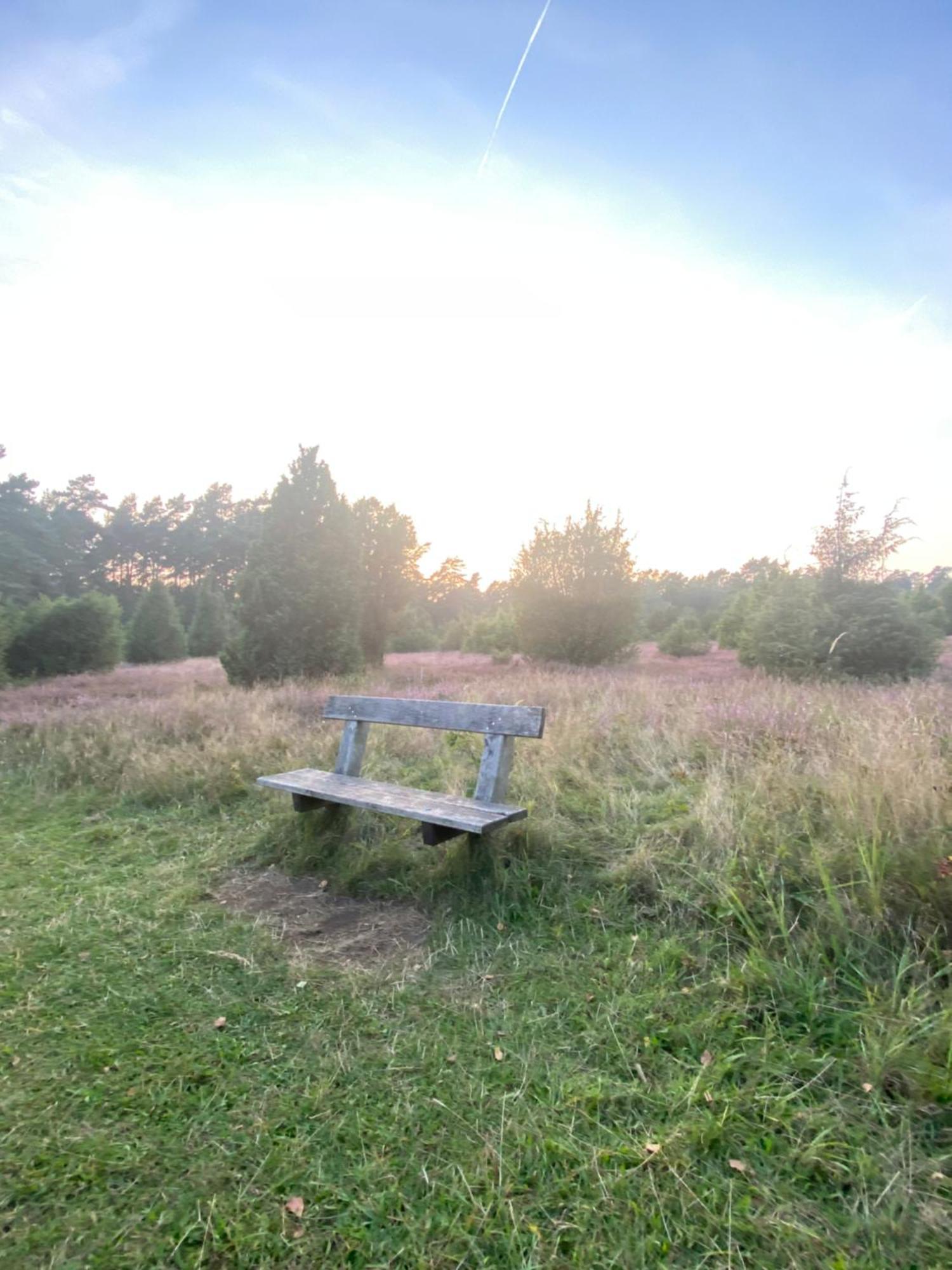 Heidegut Eschede Reitsportanlage Und Feriendorf Exteriör bild
