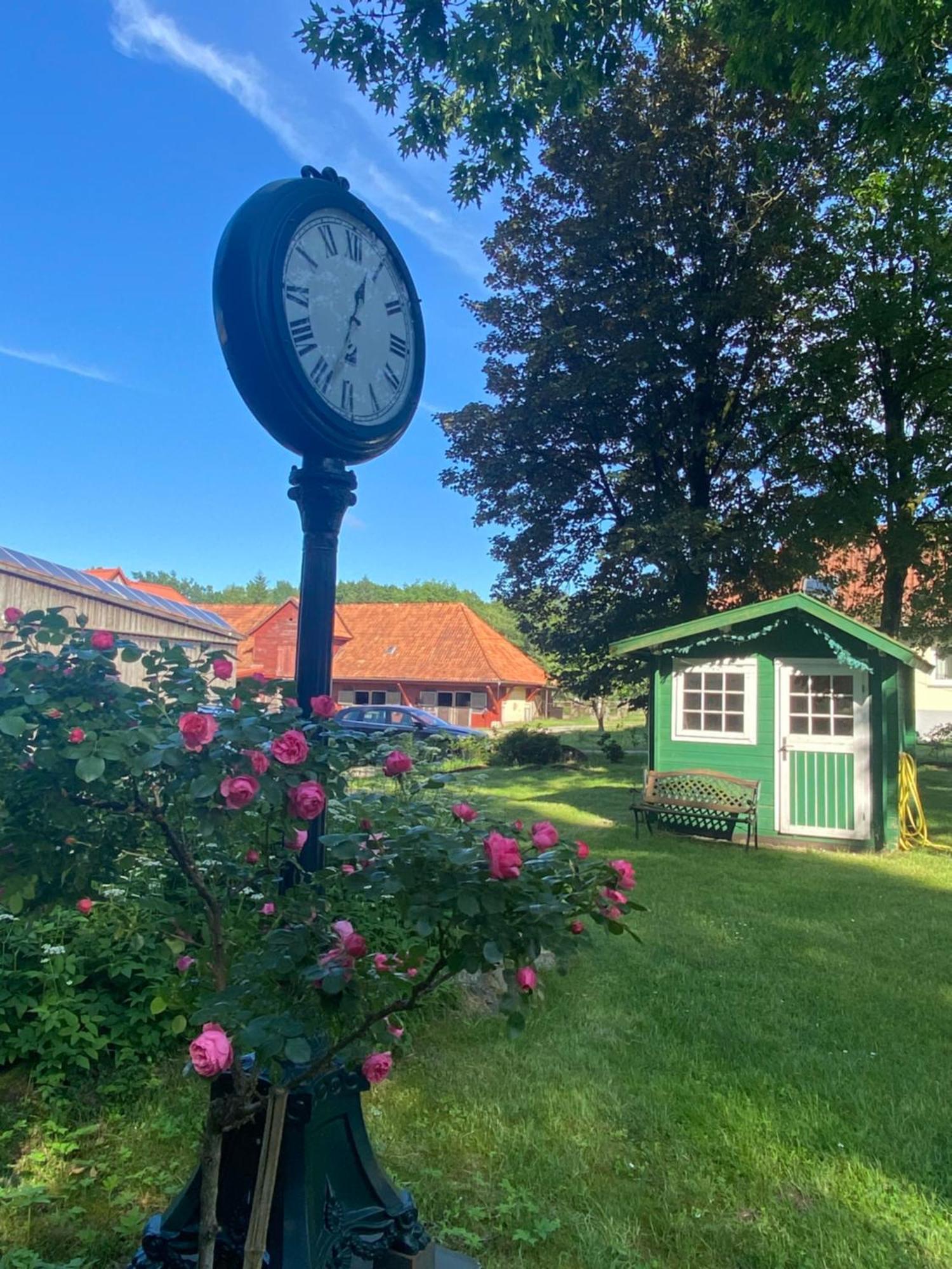 Heidegut Eschede Reitsportanlage Und Feriendorf Exteriör bild