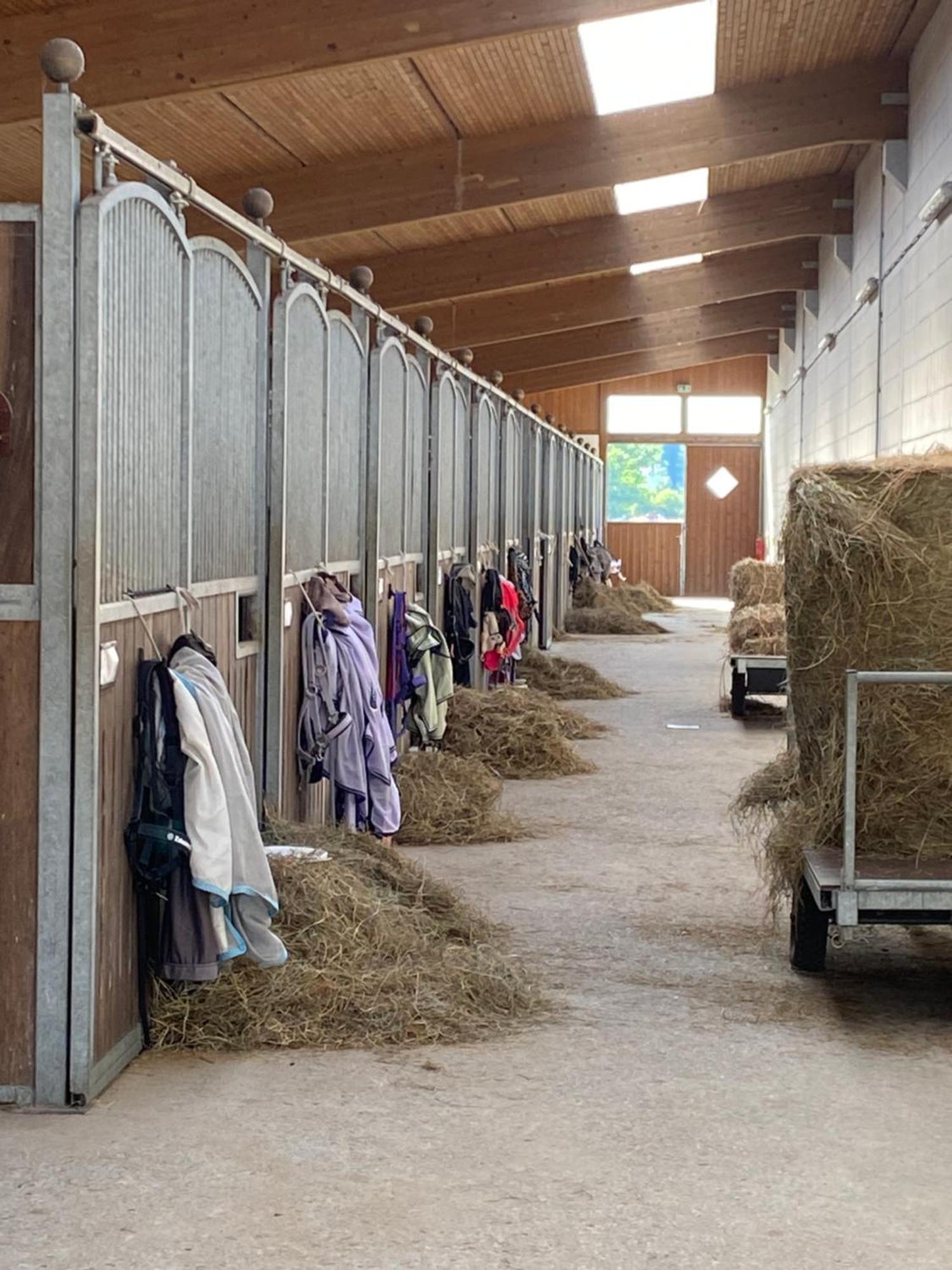 Heidegut Eschede Reitsportanlage Und Feriendorf Exteriör bild