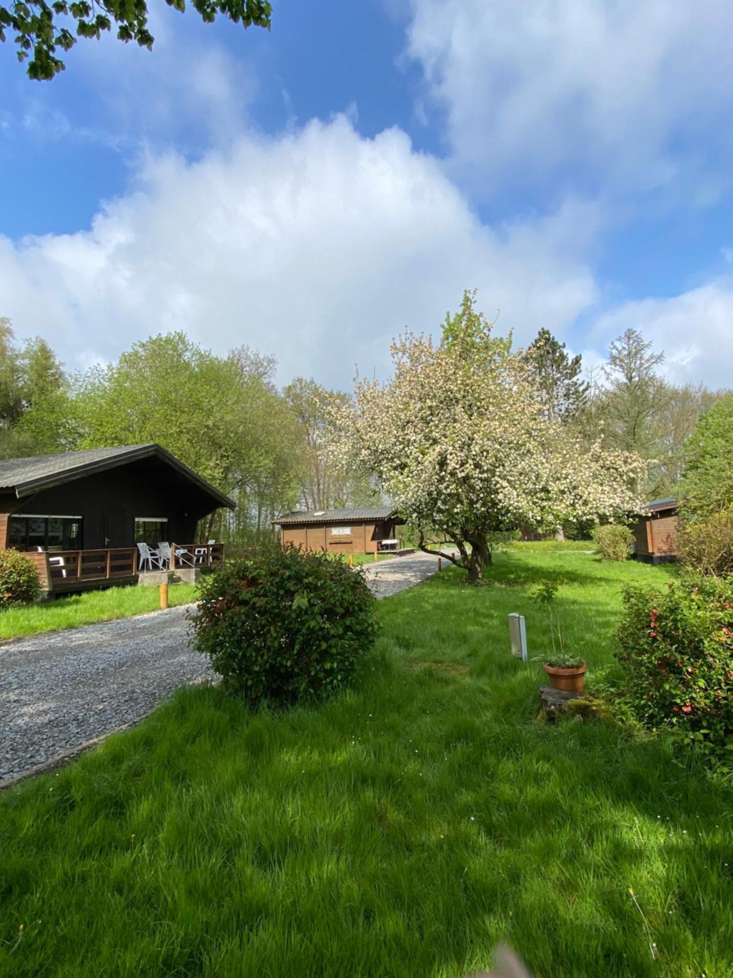 Heidegut Eschede Reitsportanlage Und Feriendorf Exteriör bild